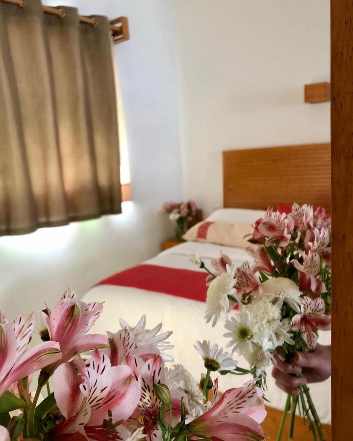 Готель Casa Cafeologo Сан-Крістобаль-де-лас-Касас Екстер'єр фото